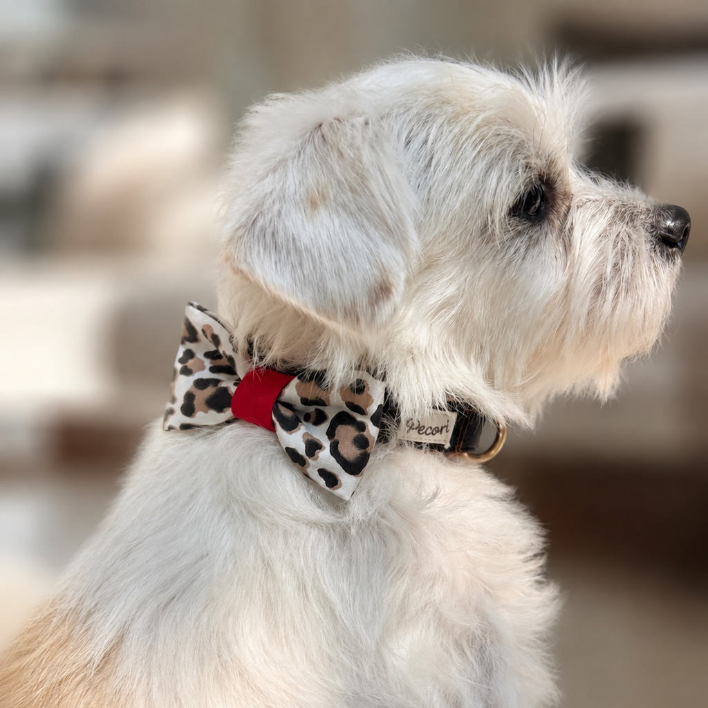 Bow tie - Leopard red