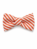 bow tie - red sprite pattern