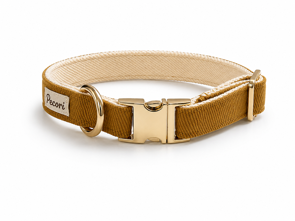 Collar - Mustard denim