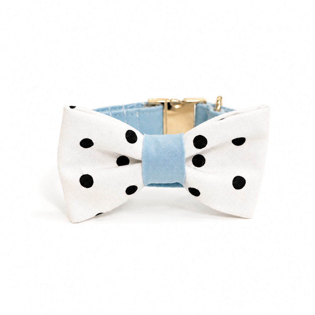 Collar - Pastel blue