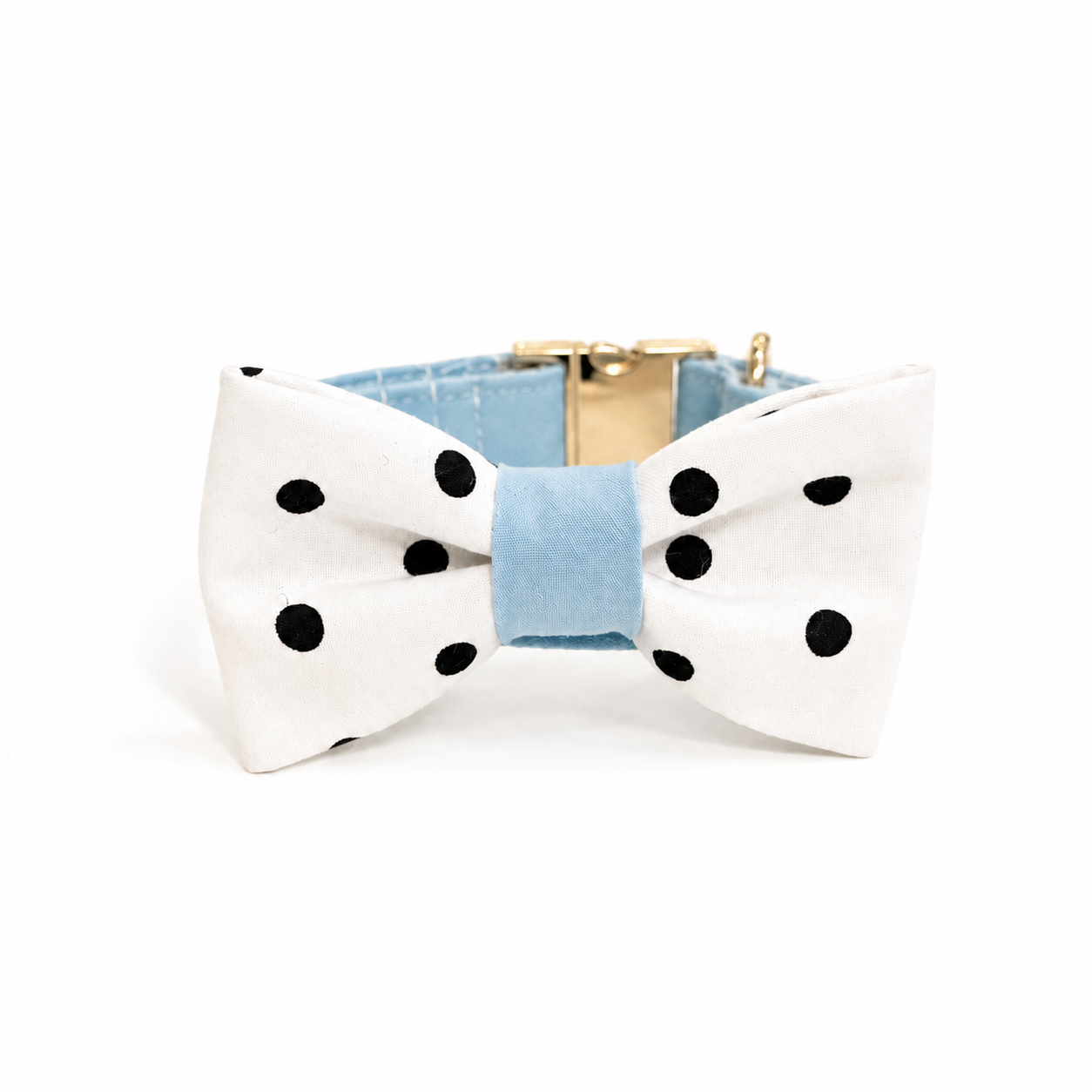 Collar - Pastel blue