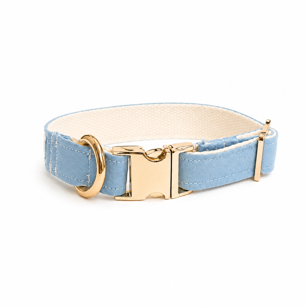 Collar - Pastel blue