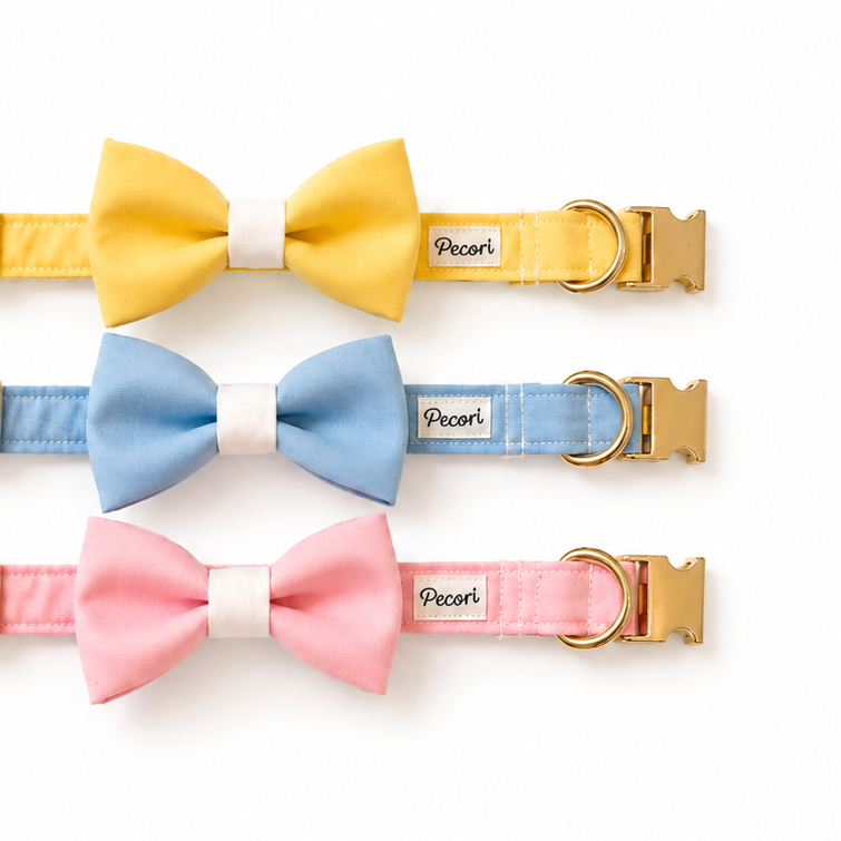 Bow tie - Blue pastel