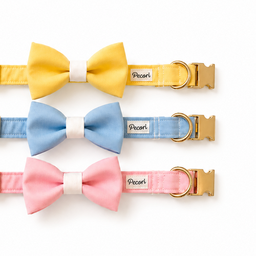 Bow tie - Blue pastel