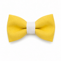 Bow tie - Yellow pastel