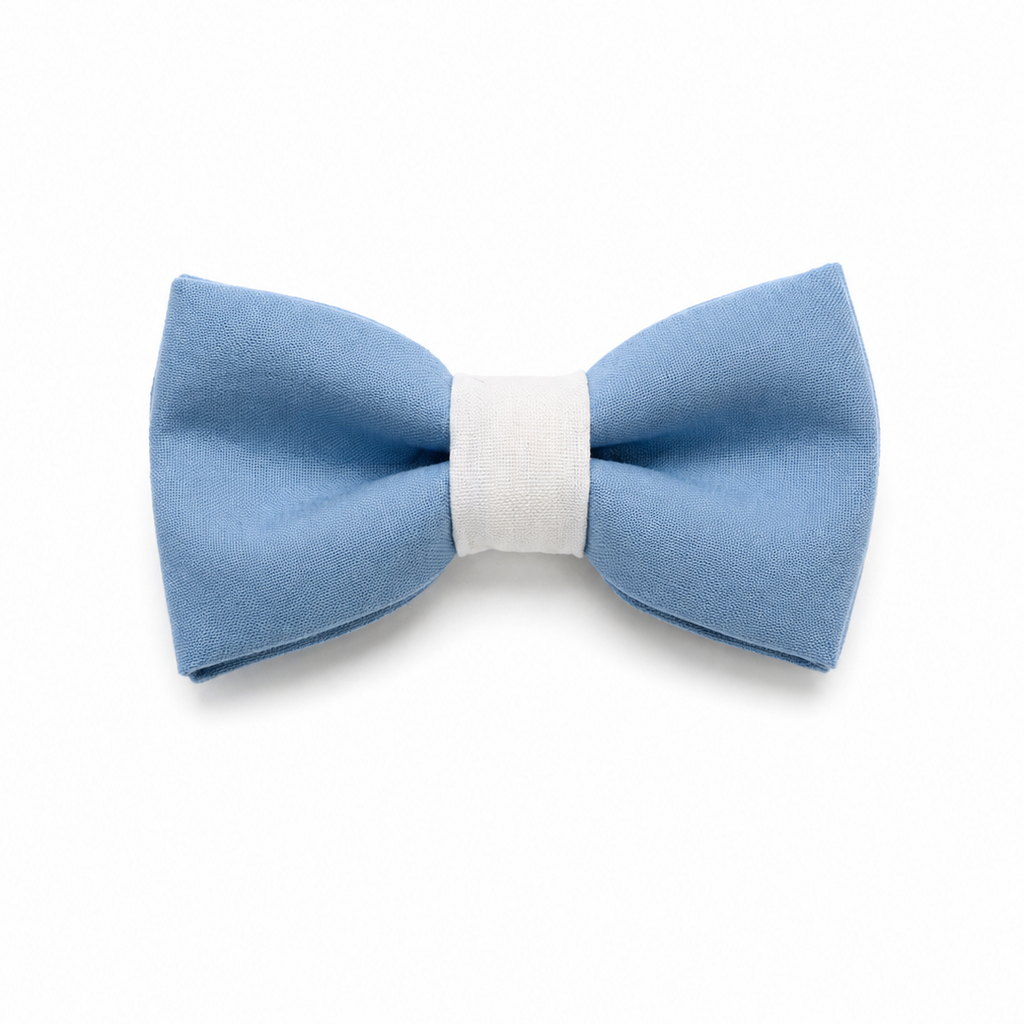 Bow tie - Blue pastel