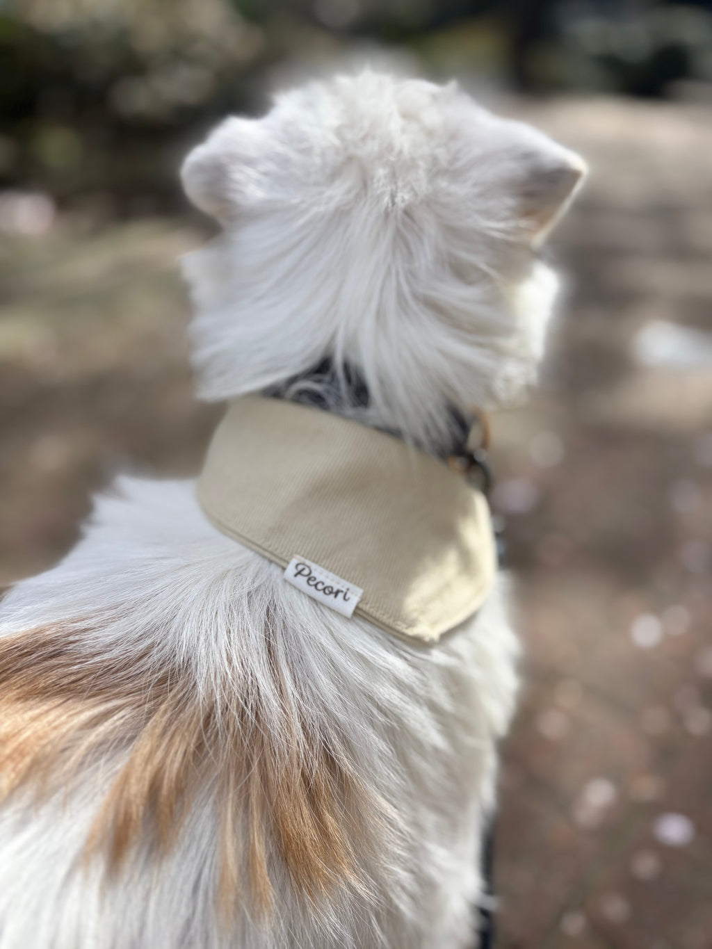 Dog scarf - Natural denim