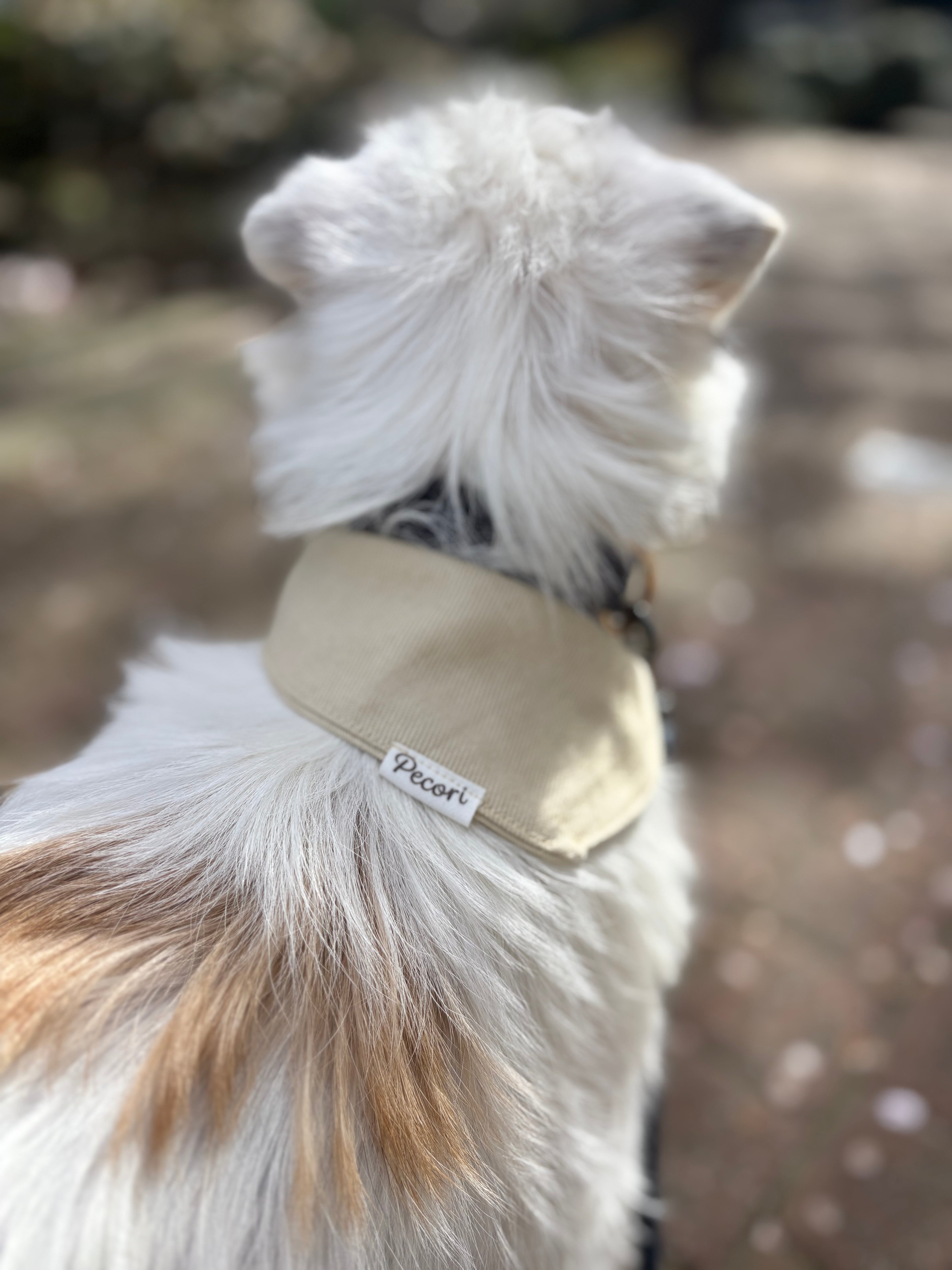 Dog scarf - Natural denim