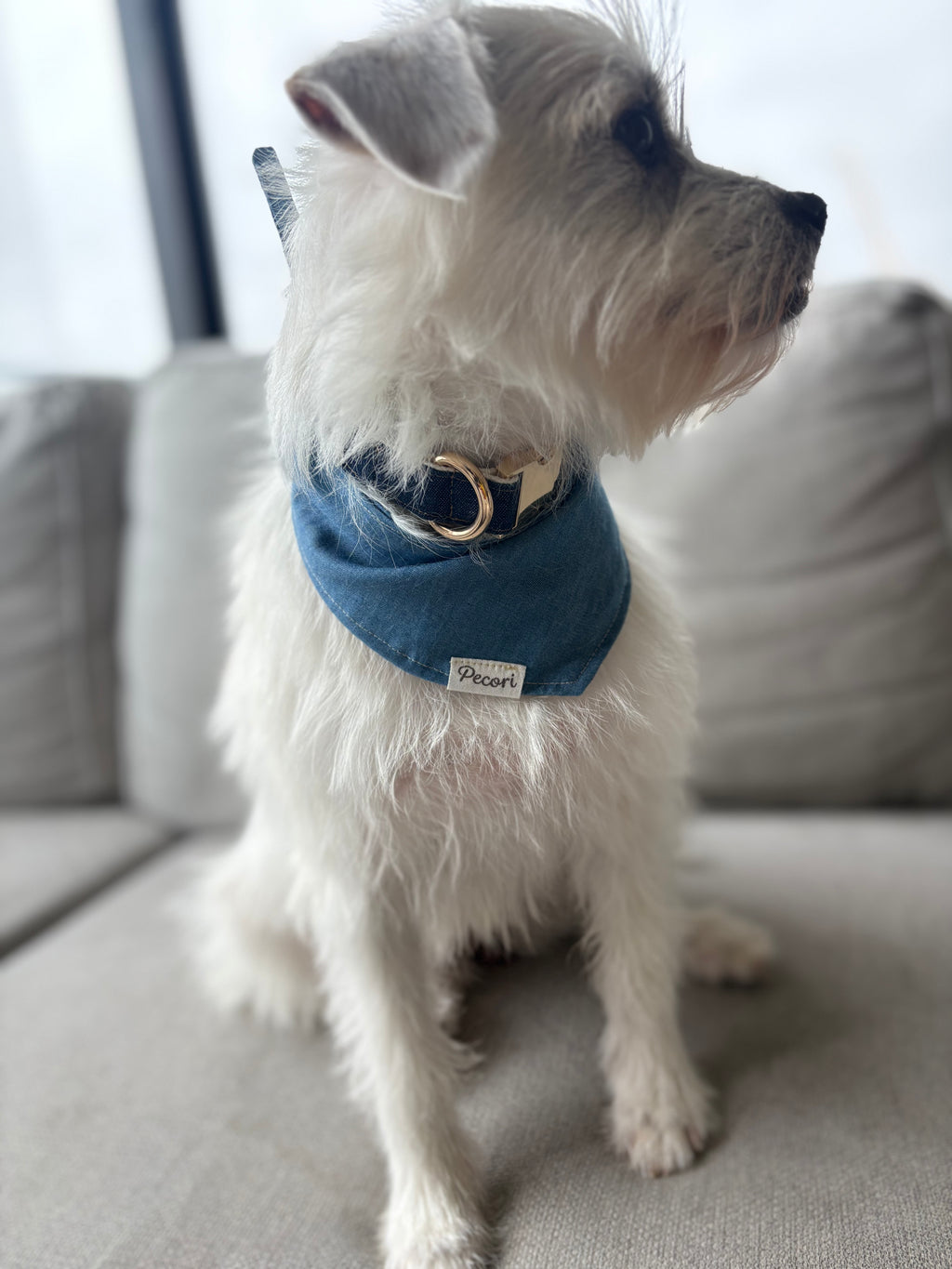 Dog scarf - Light blue denim
