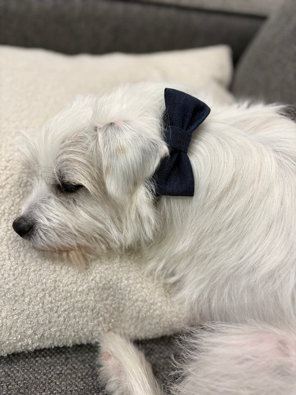 Bow tie - Dark blue denim