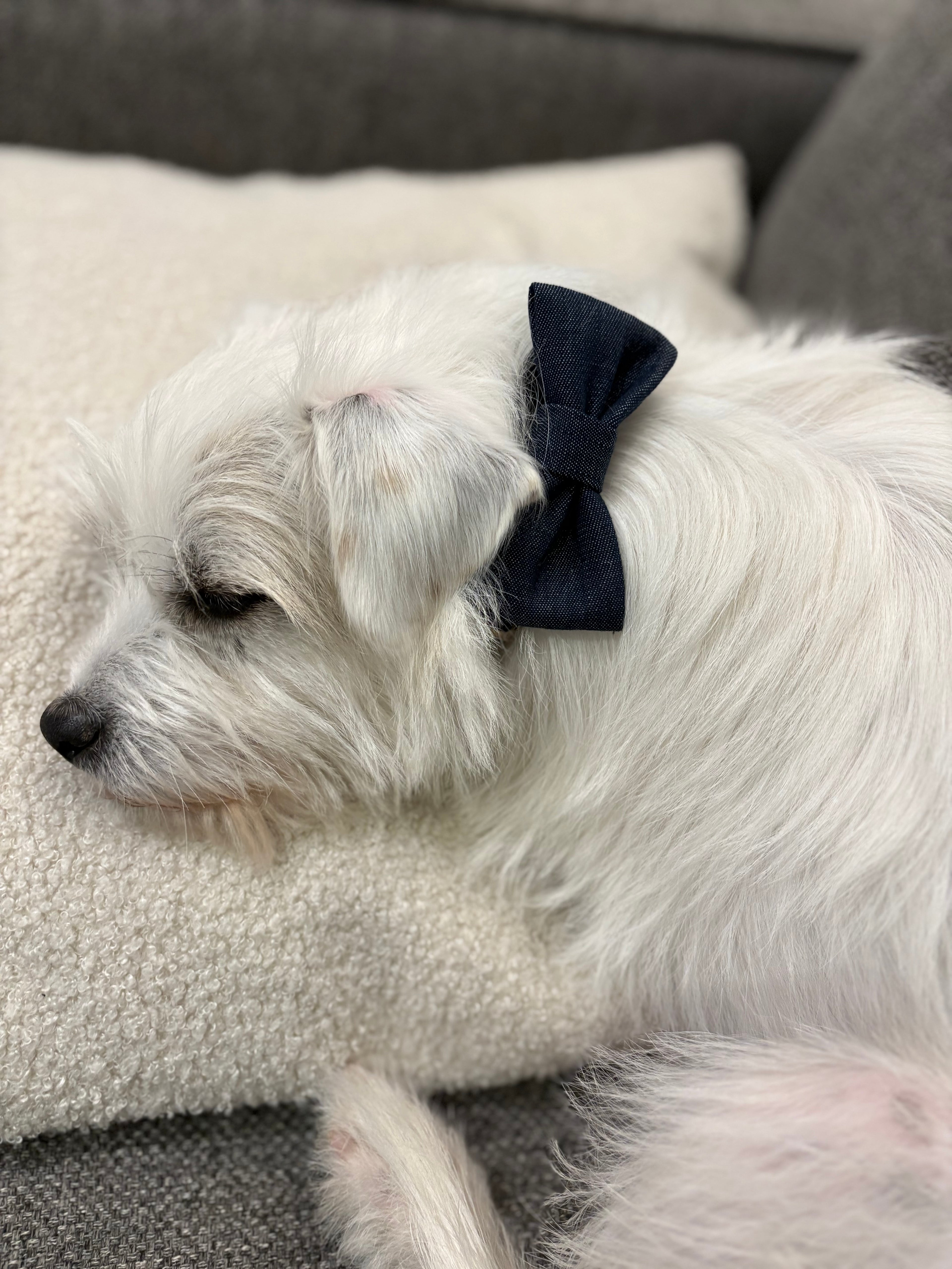 Bow tie - Dark blue denim