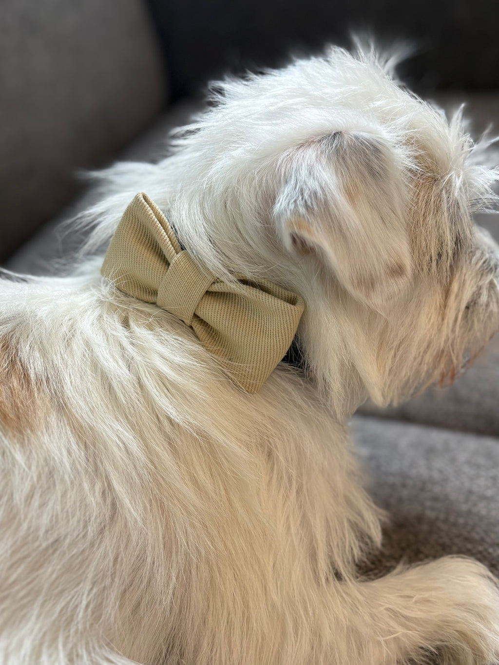 Bow tie - Natural denim