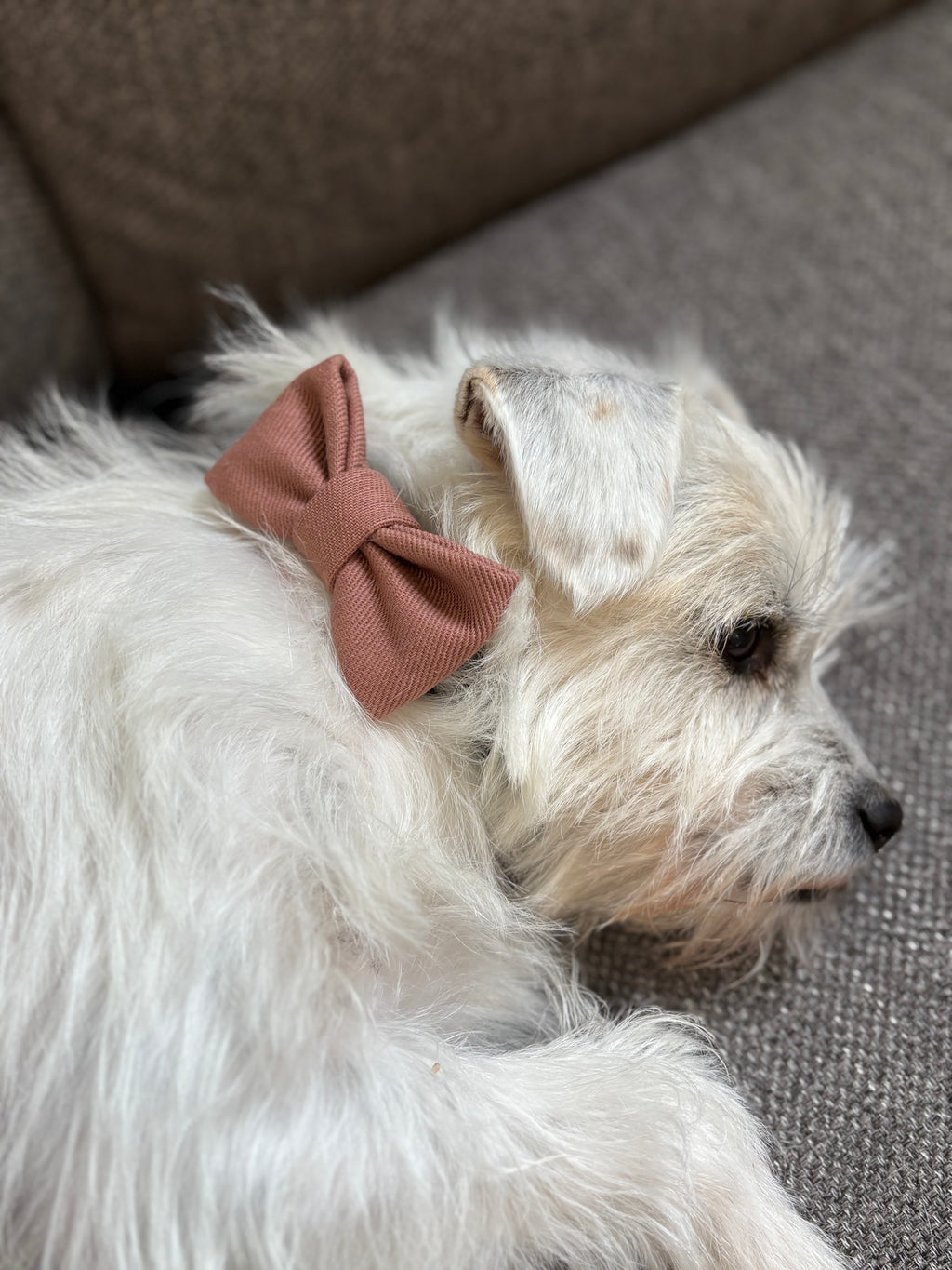 Bow tie - Rose pink denim