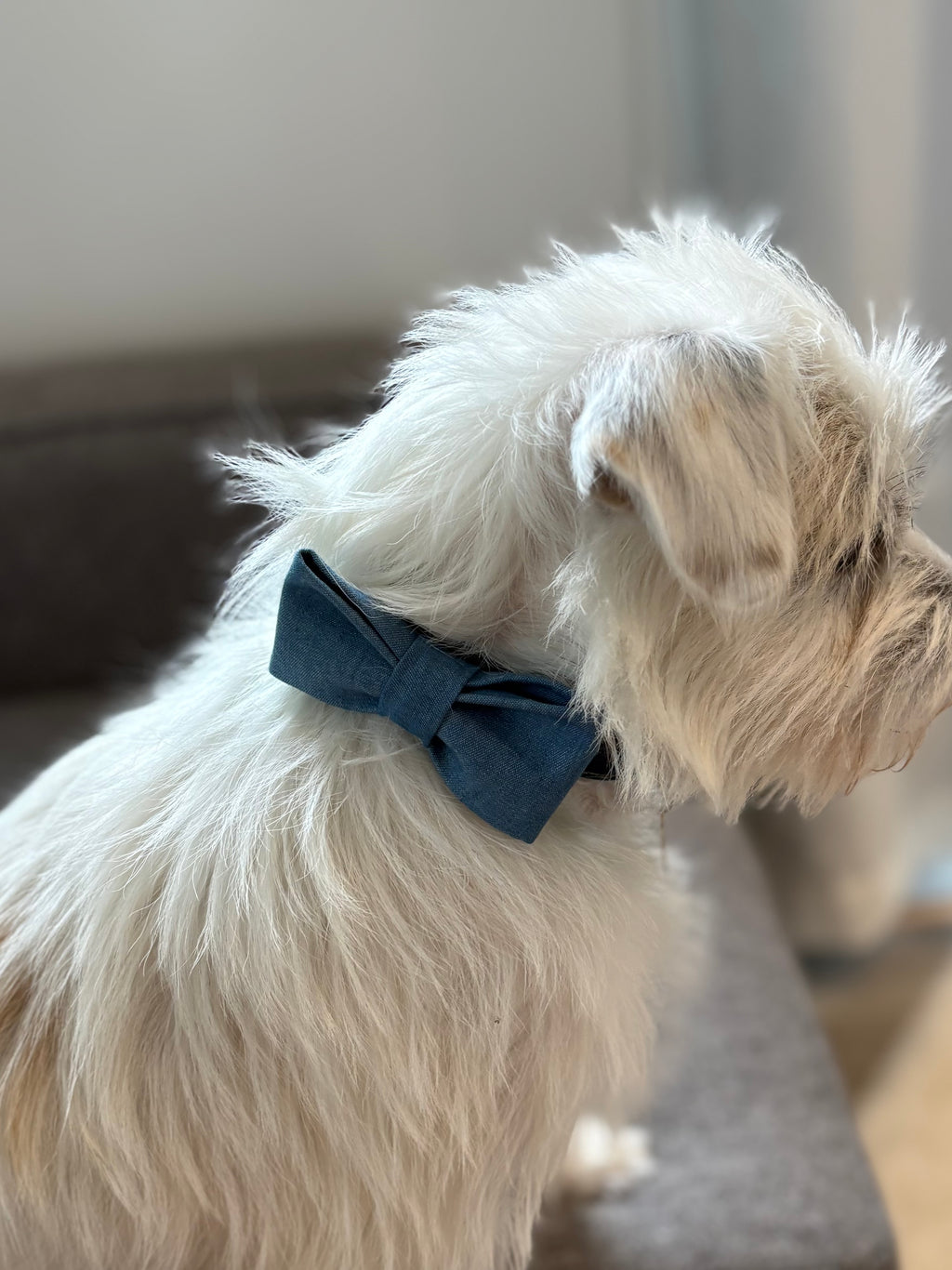 Bow tie - Light blue denim