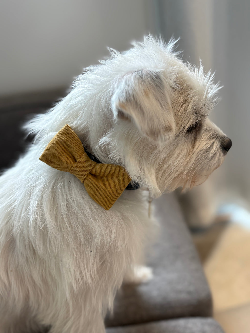 Bow tie - Mustard denim