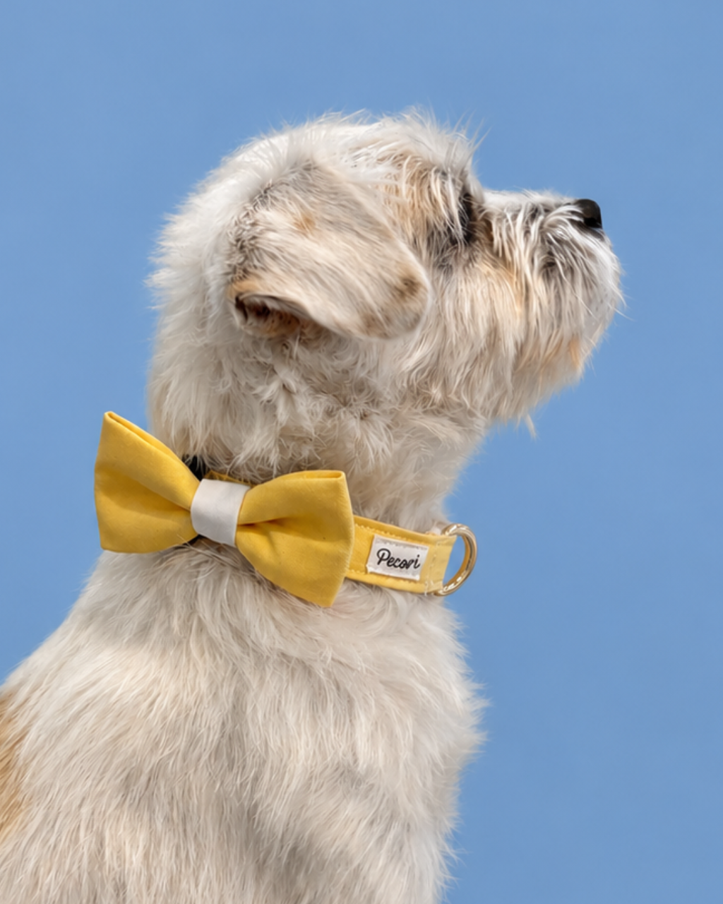 Bow tie - Yellow pastel